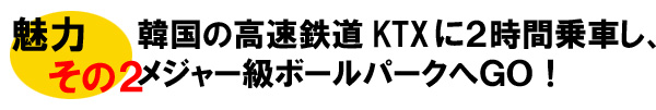 韓国プロ野球観戦ツアー魅力その2