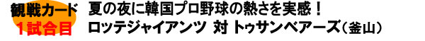 2013韓国プロ野球観戦ツアー