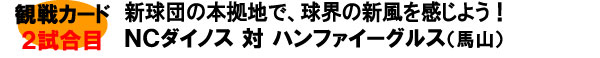 2013韓国プロ野球観戦ツアー