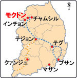 ���N�g���싅��