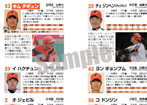 韓国プロ野球観戦ガイド&選手名鑑2012