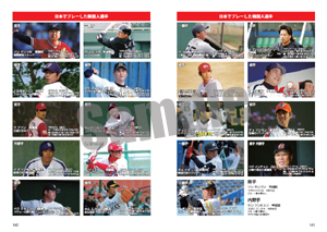 韓国プロ野球観戦ガイド&選手名鑑2013