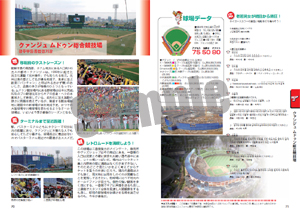 韓国プロ野球観戦ガイド&選手名鑑2013