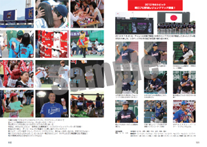 韓国プロ野球観戦ガイド&選手名鑑2013